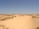 Алёшковские пески. Фотография пустыни. 11,4 Kb