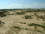 Алёшковские пески. Пустыня. 16,1 Kb